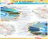 Infografica: 6 spiagge del Salento