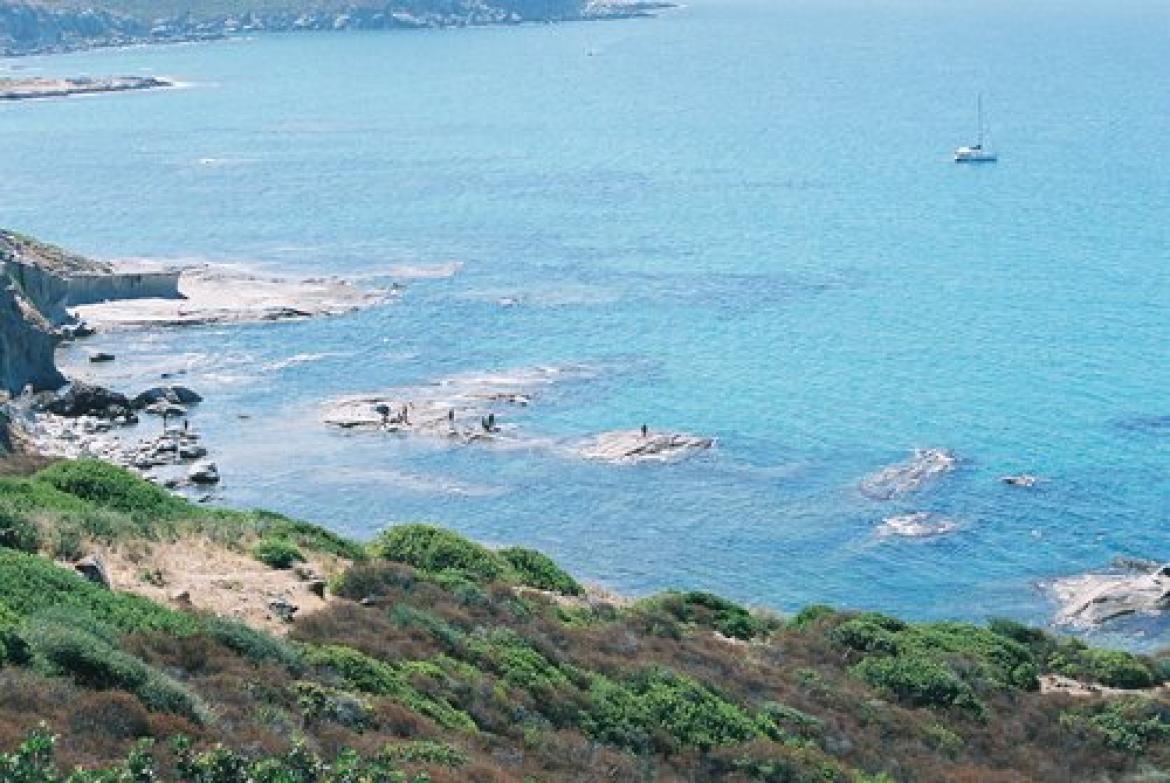 Leggi: Bosa, rinomata per l�artigianato e le immersioni in un mare cristallino