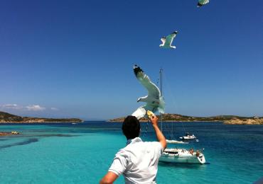 Leggi: Visitare la Maddalena