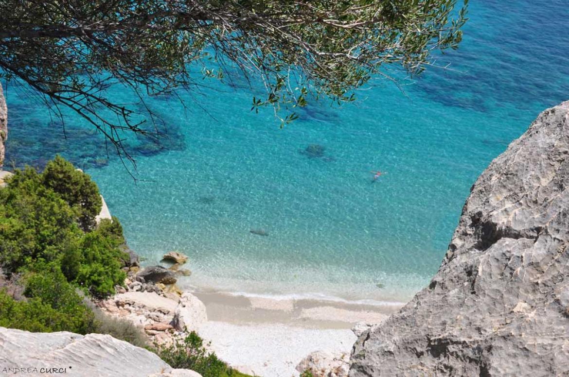Leggi: Vacanza a Cala Gonone? Ecco cosa vedere