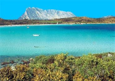 Leggi: Le Spiagge di San Teodoro