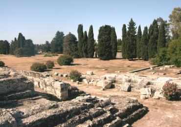Leggi: Parco Archeologico della Neapolis