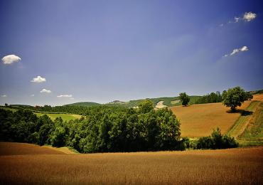 Leggi: La Maremma Toscana: un itinerario da sogno
