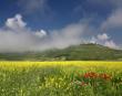 Castelluccio: tripudio di colori!