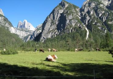 Leggi: Val di Landro Cerniera tra Dobbiaco e Cortina