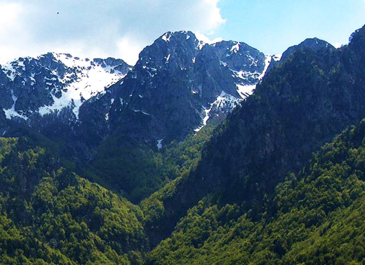 Gita al Parco Nazionale D' Abruzzo