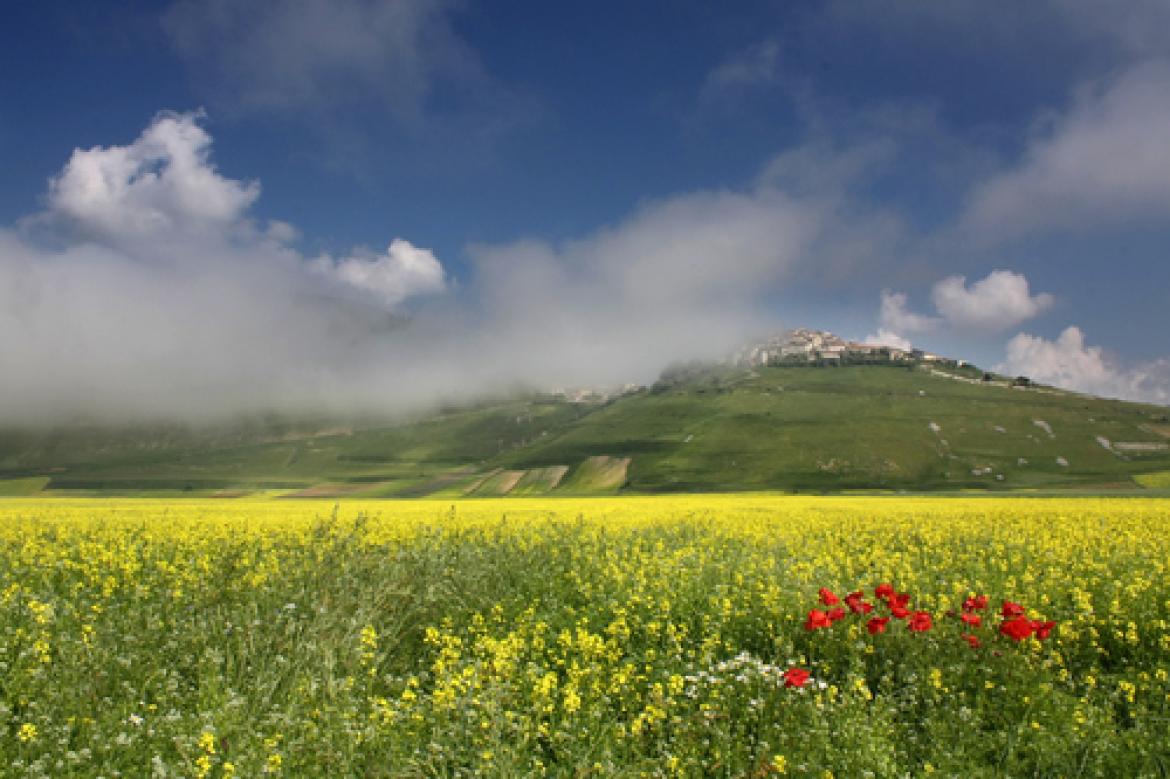 Castelluccio: tripudio di colori!