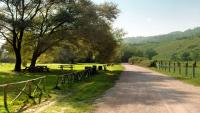 Appartamento Panoramico nel verde