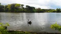 Accogliente bungalow tra lago e spiaggia