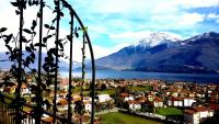 Ulivi on the Lake