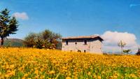 Casino Tonti Iarussi, casolare in montagna/campagna
