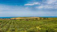 Mare, natura  e buon cibo