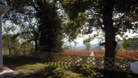 B&B FalcoBianco a Montefalco
