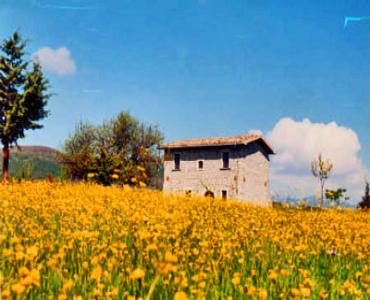 Villa VacanzeCasino Tonti Iarussi, casolare in montagna/campagna