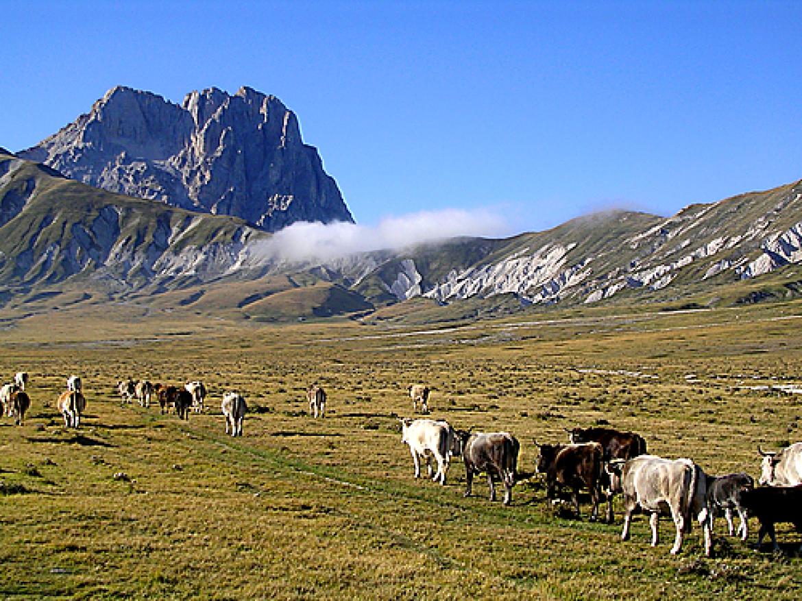 Leggi: Campo Imperatore bello sia in estate che inverno