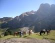 Il Parco Regionale Sirente-Velino