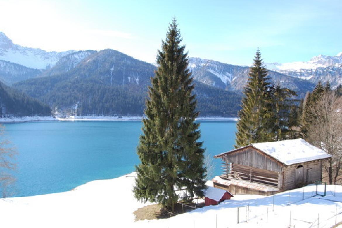 Leggi: Sauris, un'isola tra le montagne