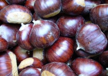 Leggi: Sagra delle castagne e Palio delle Contrade a Soriano nel Cimino