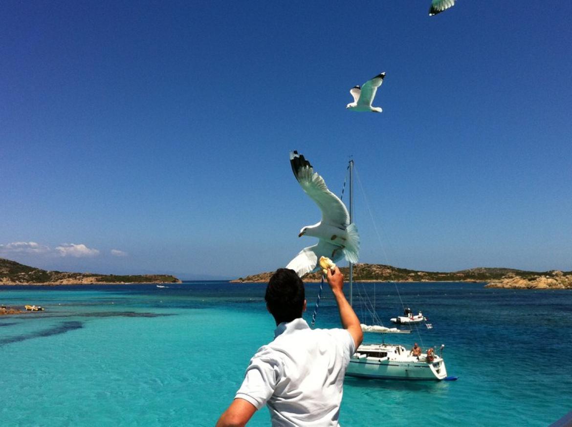 Leggi: Visitare la Maddalena