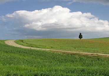 Leggi: Val d'Orcia ricca di storia e non solo