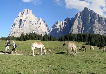 Leggi: Alpe Di Siusi: Sci di Fondo e Mountain bike