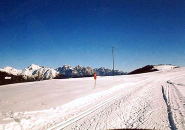 Leggi: Piste da Fondo in Trentino Alto Adige