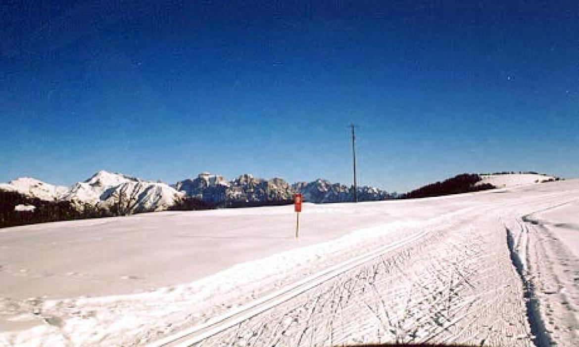 Leggi: Piste da Fondo in Trentino Alto Adige