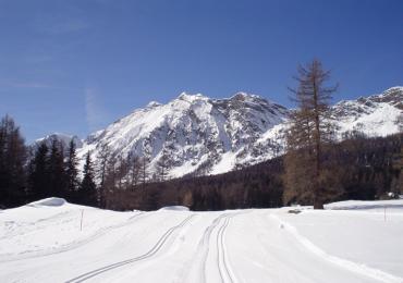 Leggi: La vera vacanza in montagna: Antagnod - Ayas