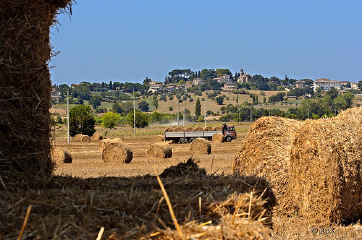 San Quirico d'Orcia e i suoi tanti tesori nascosti