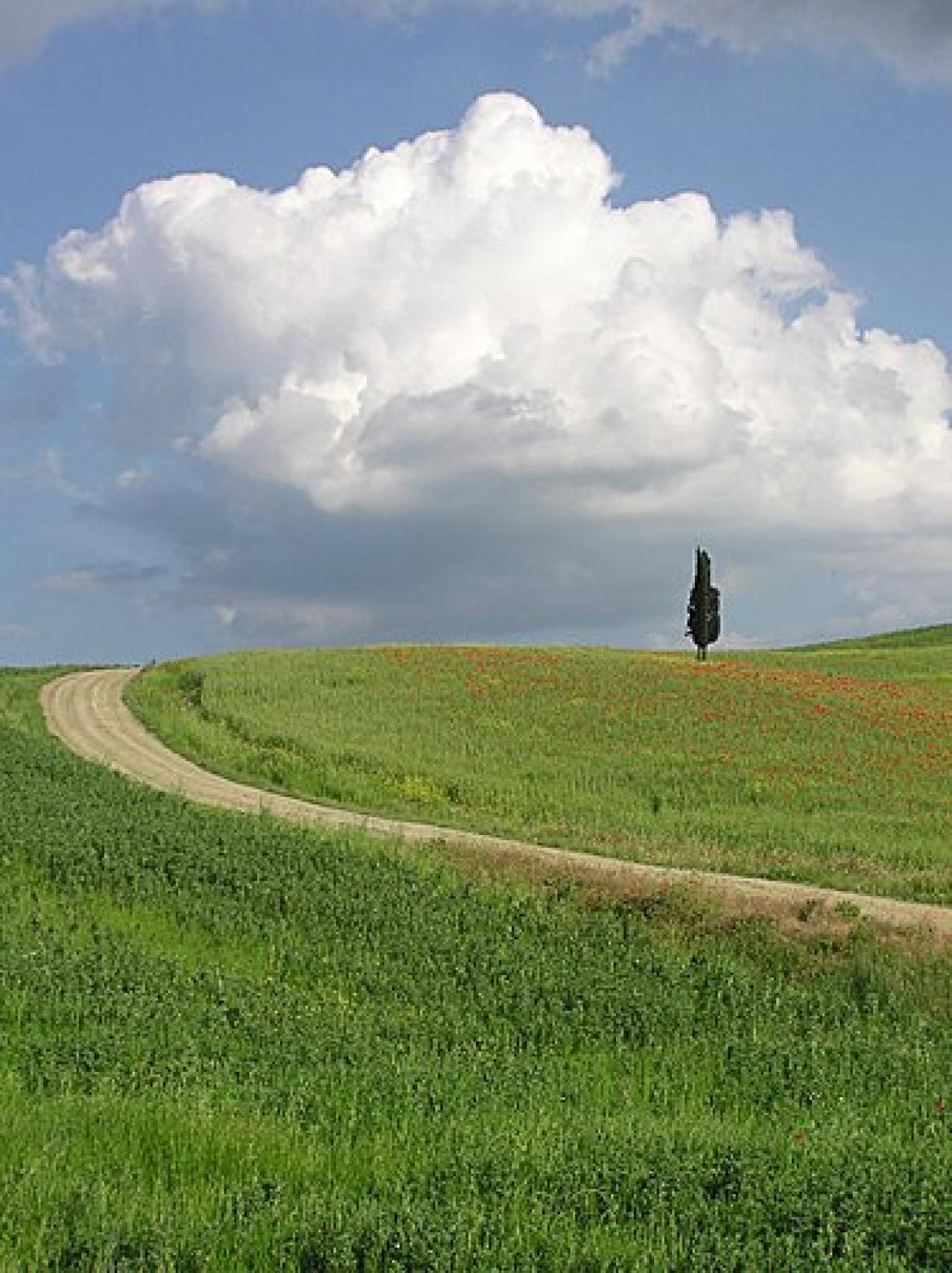 Val d'Orcia ricca di storia e non solo