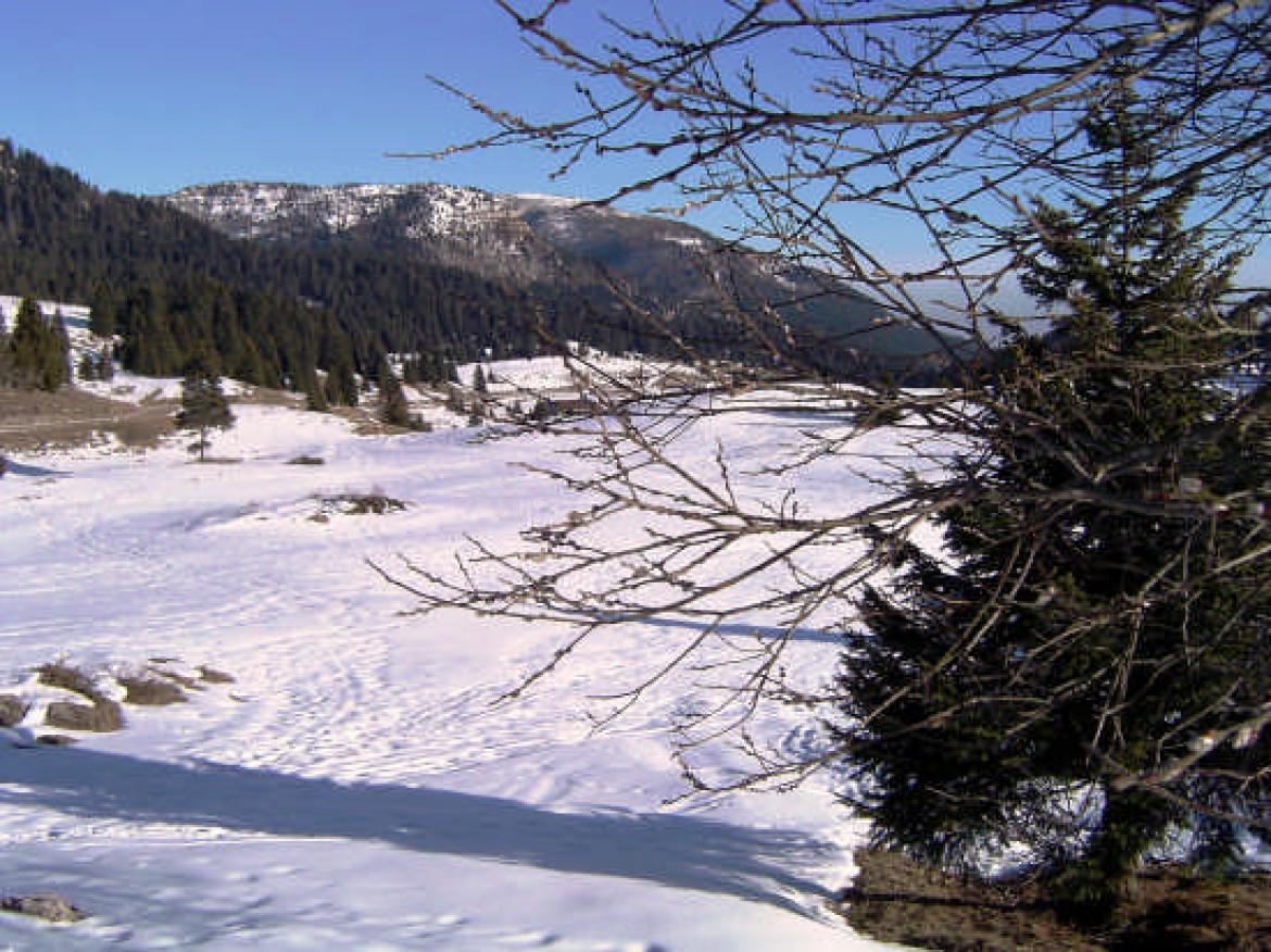 Folgaria Sciare in Inverno e Sentieri in Estate